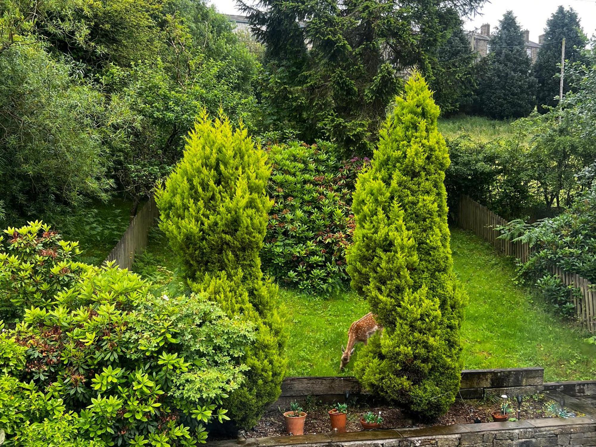 Middle Barn Villa Keighley Bagian luar foto